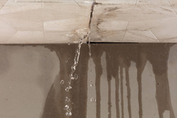Professional Flood Damage Cleanup technician working in Franklin Grove, IL